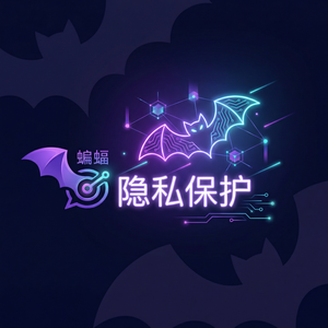 蝙蝠聊天 - 蝙蝠聊天软件对比传统短信：安全性分析